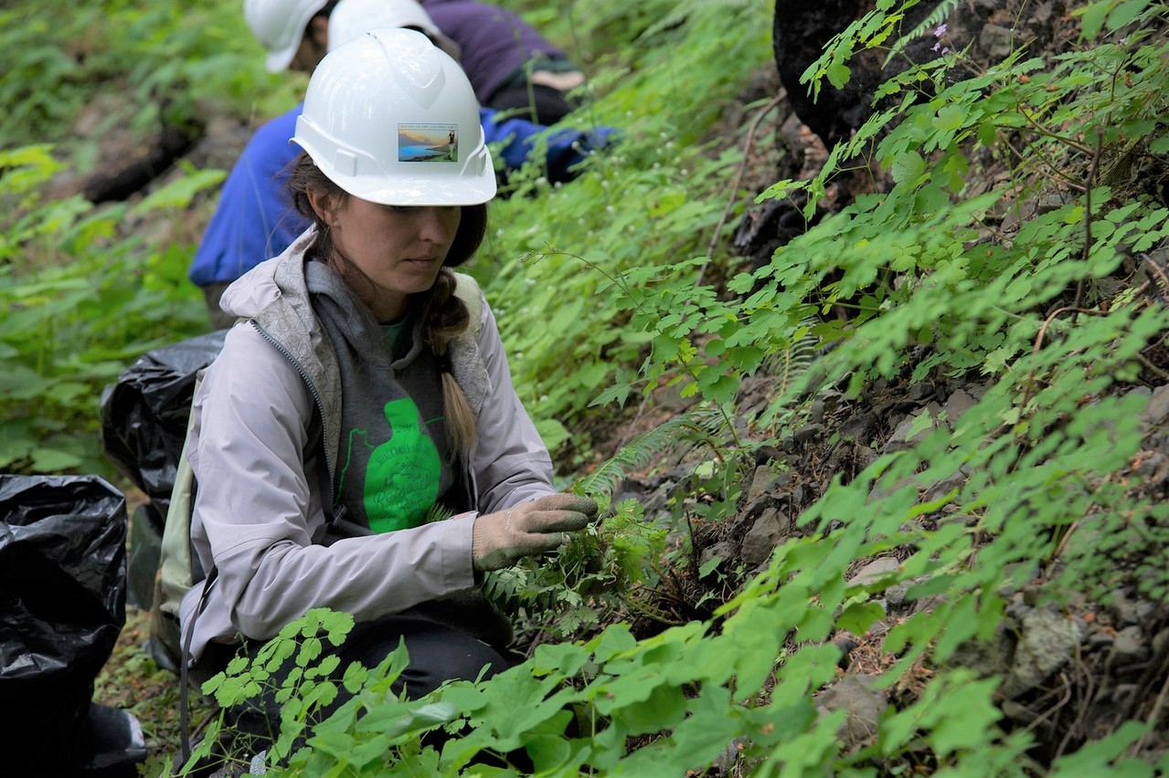 Eagle Creek Trail Invasive Plant Removal, OR